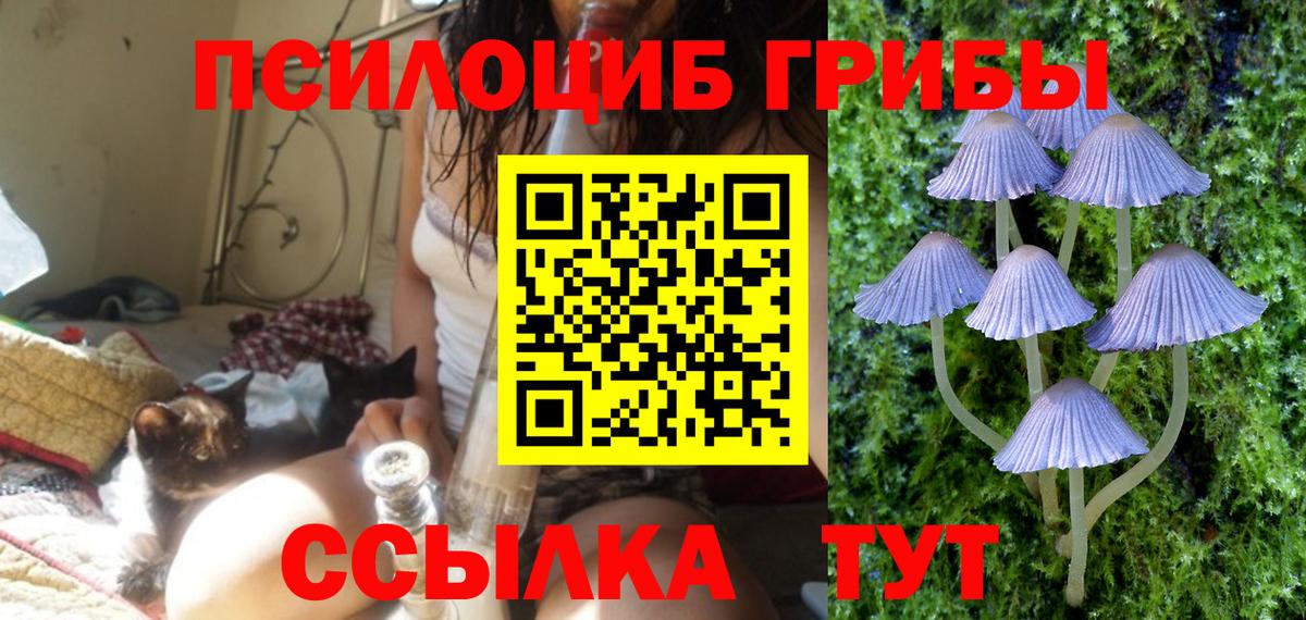 Псилоцибиновые грибы мухоморы  Галлюциногенные грибы Magic Shrooms  Вход с VPN  Пугачёв 