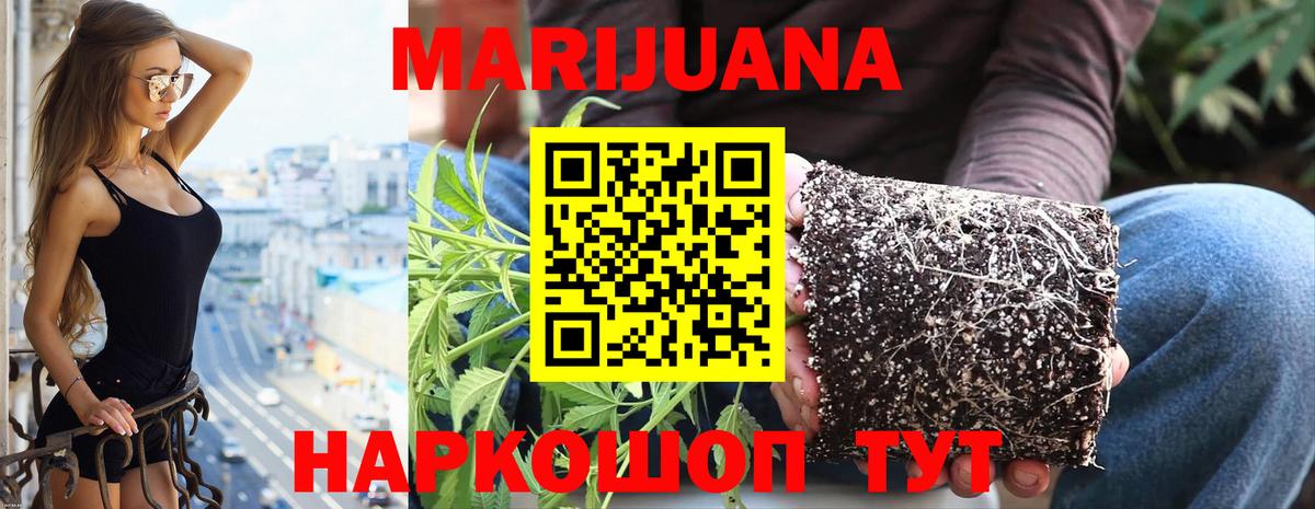МАРИХУАНА Amnesia  Вход с VPN  Бошки марихуана план  Бошки Шишки конопля  Пугачёв 